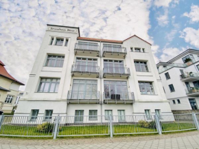 Silbermöwe, Warnemünde